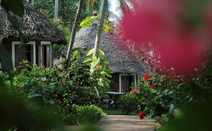 MANALTHEERAM AYURVEDA BEACH VILLAGE  -  BABY MATHEW  Founder & Director  -   
