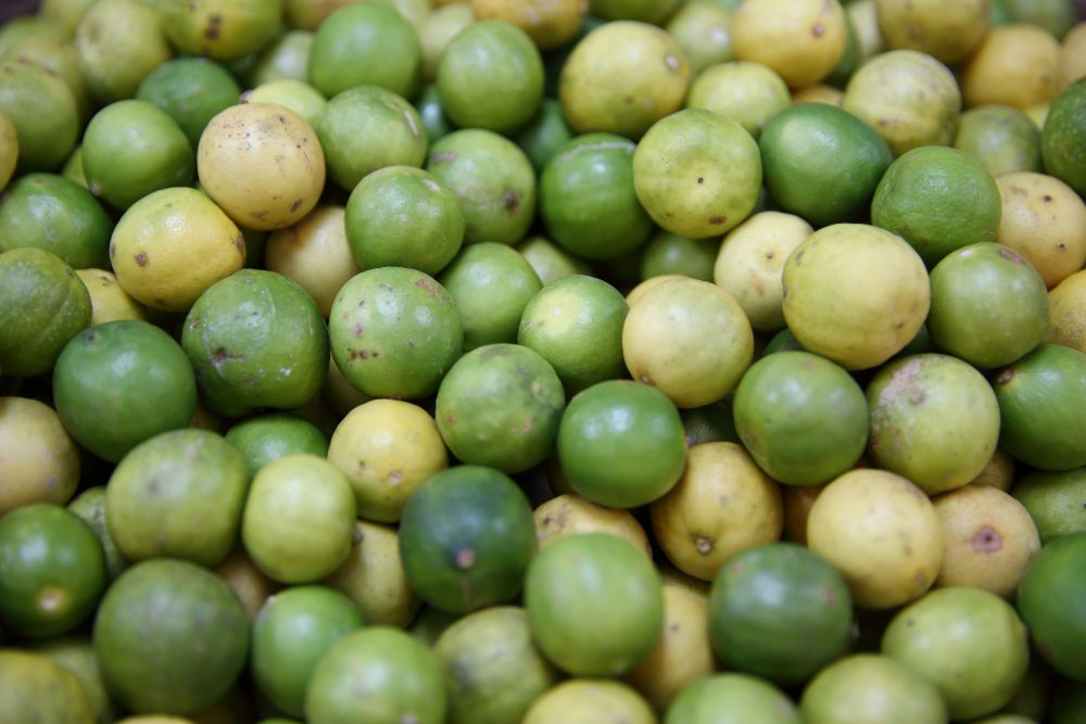 FROM A TO Z 
FRUITS & VEGETABLES IN AYURVEDA 
