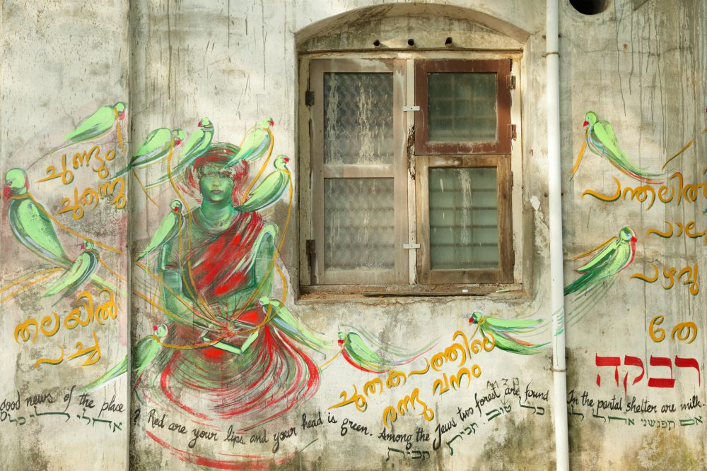 The Parrot Song Nº5:RUBY 