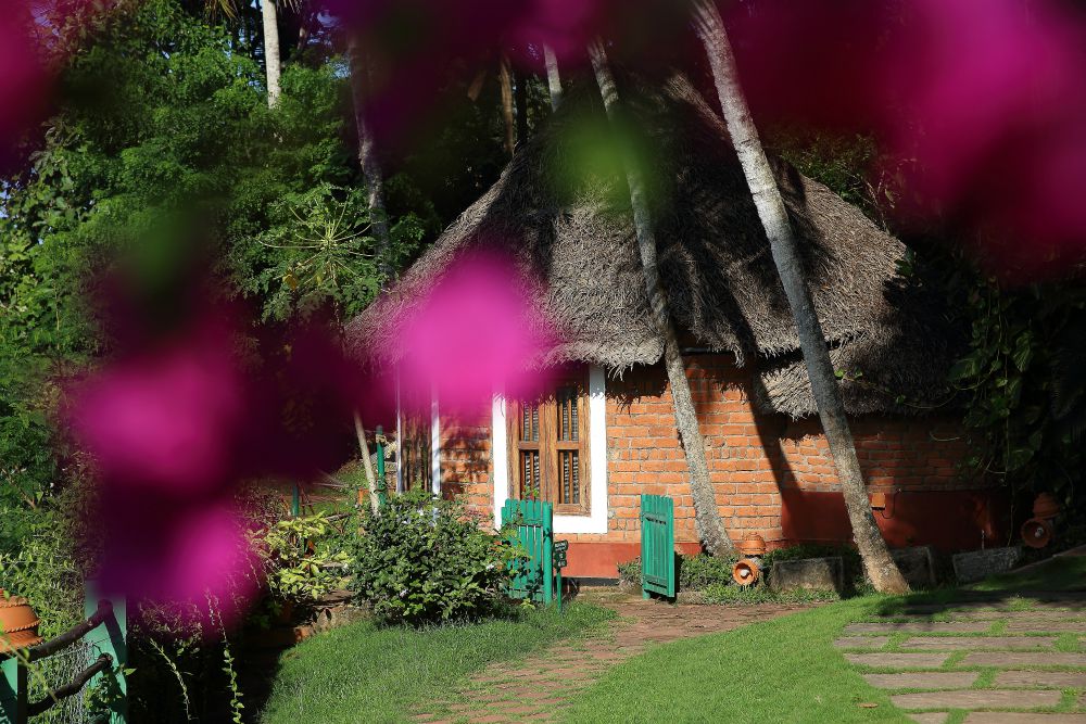 SOMATHEERAM AYURVEDA VILLAGE
- ROOMS CATEGORIESStandard RoomGarden CottageSpecial CottageKerala House StandardKerala House Deluxe (AC)Kerala Deluxe Suit (AC) 