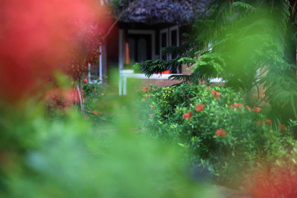 ABAD HARMONIA AYURVEDA BEACH RESORT