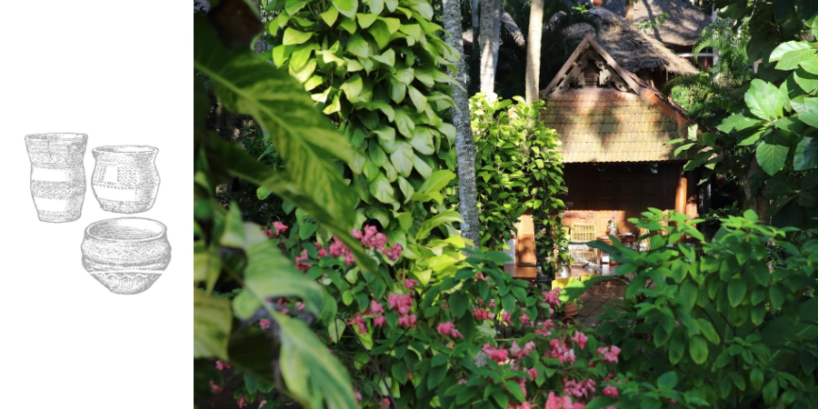 SOMATHEERAM AYURVEDA VILLAGE - SOMADrink of Gods - “We have drunk Soma and become immortal; we have attained the light, the Gods discovered. Now what may foeman’s malice do to harm us? What, O Immortal, mortal man’s deception?”  (Vedas) 