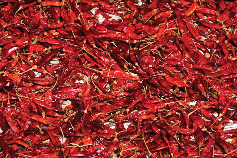 FROM A TO Z
SPICES & OTHER INGREDIENCES IN AYURVEDA
