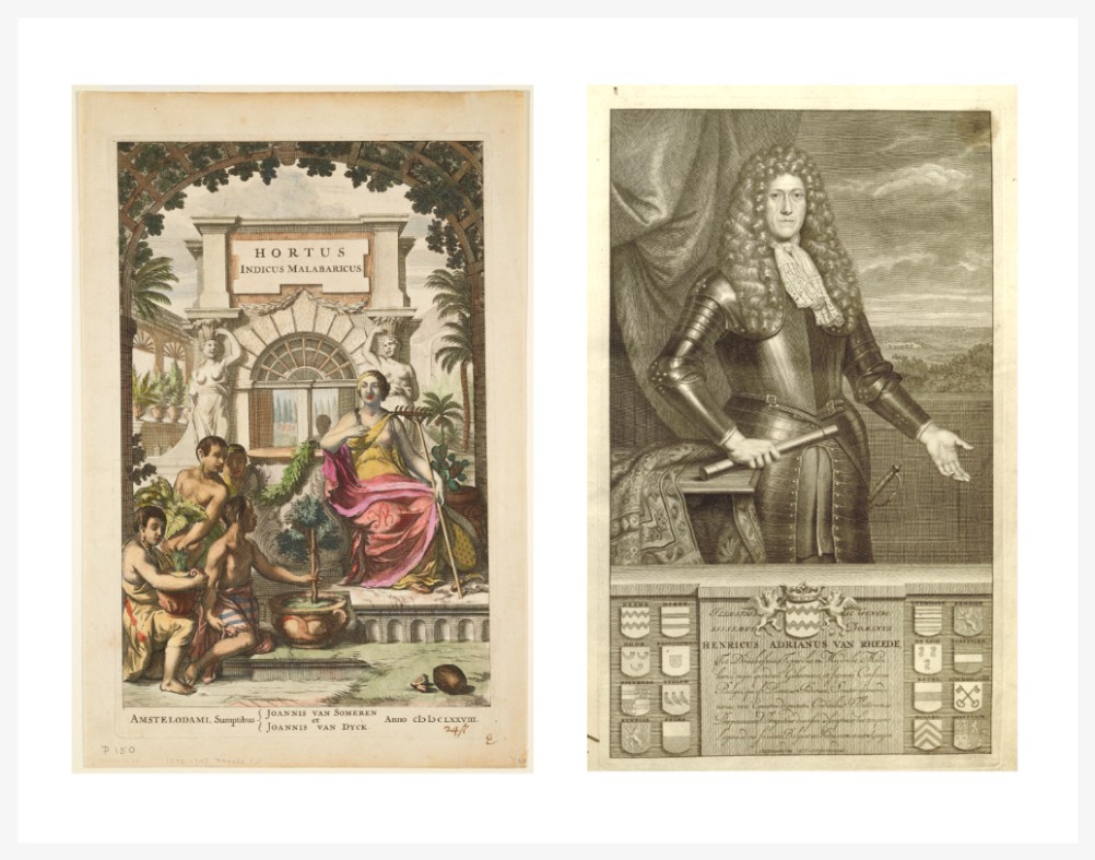 HORTUS MALABARICUS
HENDRIK ADRIAAN VAN REEDE TOT DRAKENSTEIN (1636-1691)
