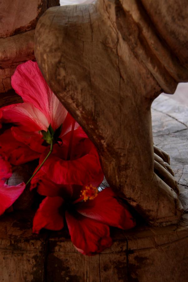 Sprit Image