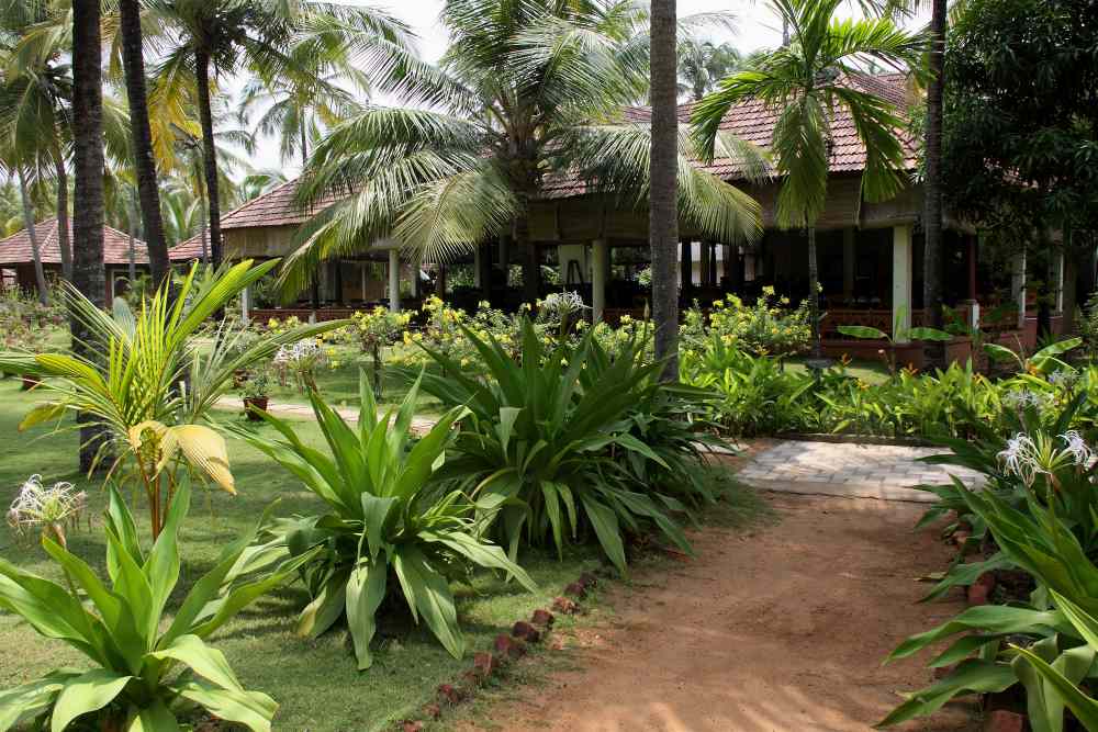 THE NATTIKA BEACH AYURVEDA RESORT