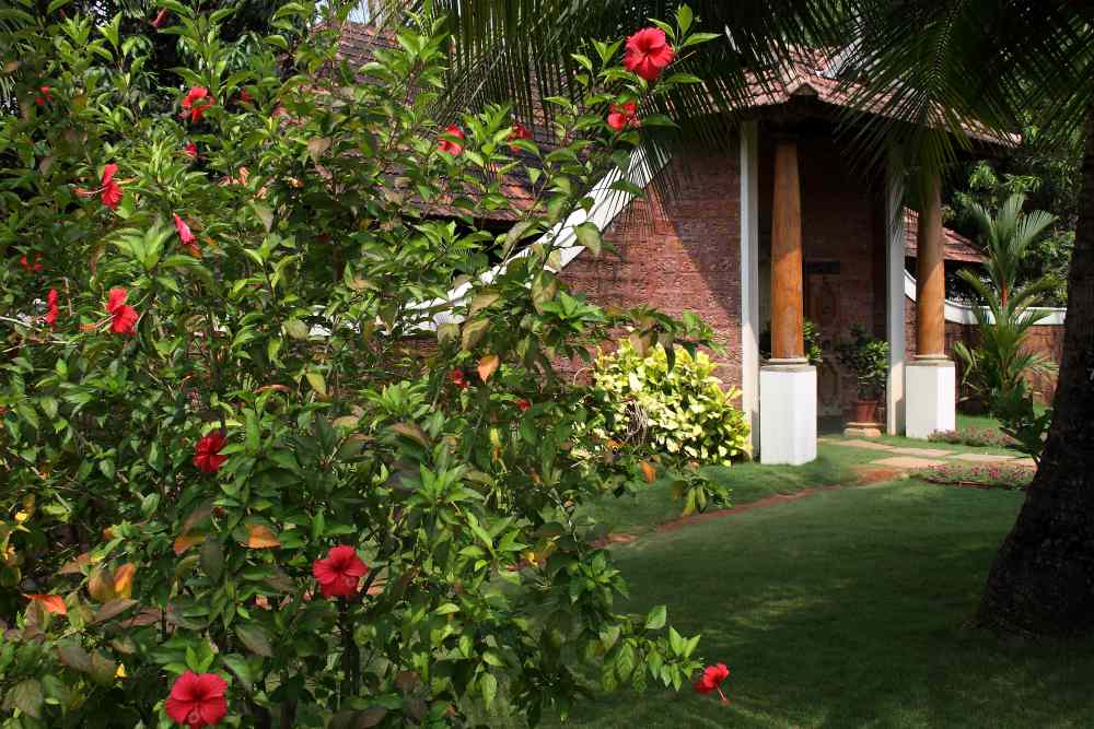 THE NATTIKA BEACH AYURVEDA RESORT