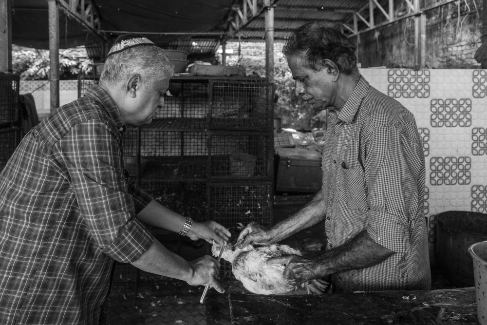 COMMUNITIES OF KOCHI
10: Malabari Jews