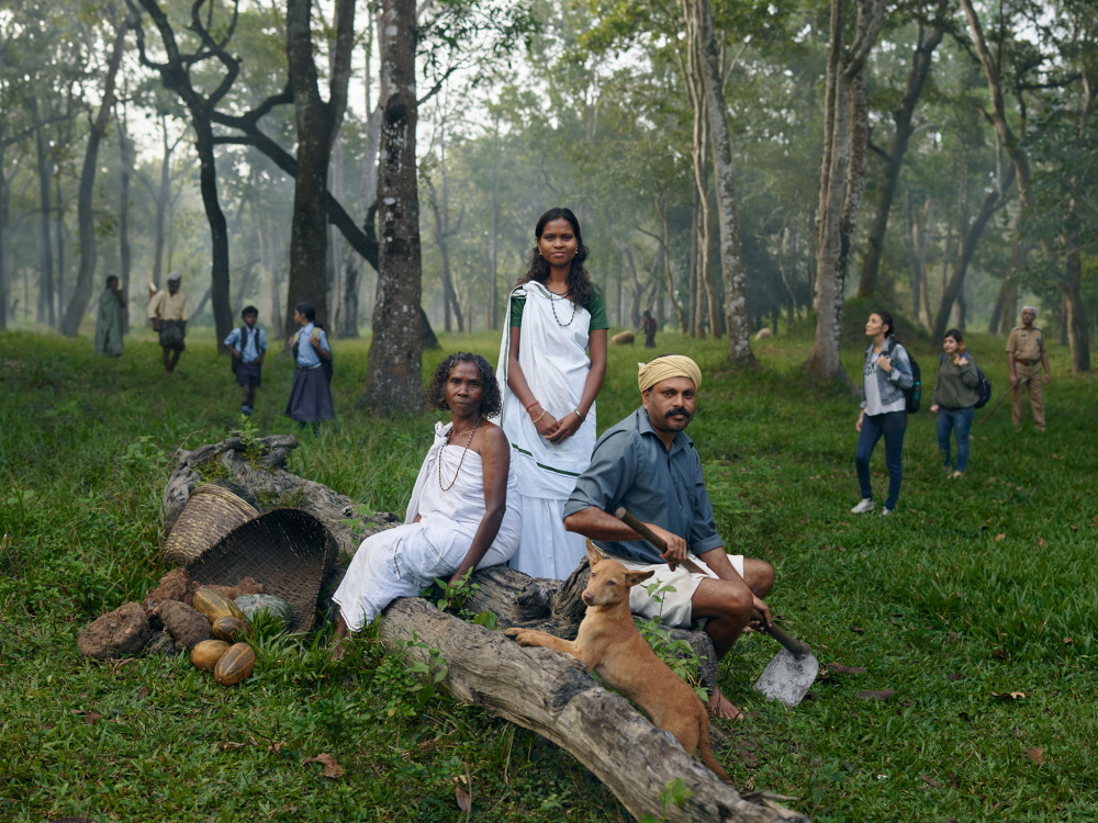 The Forest