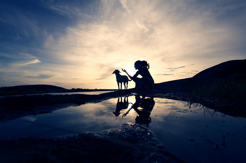 Black Mo0n Collection