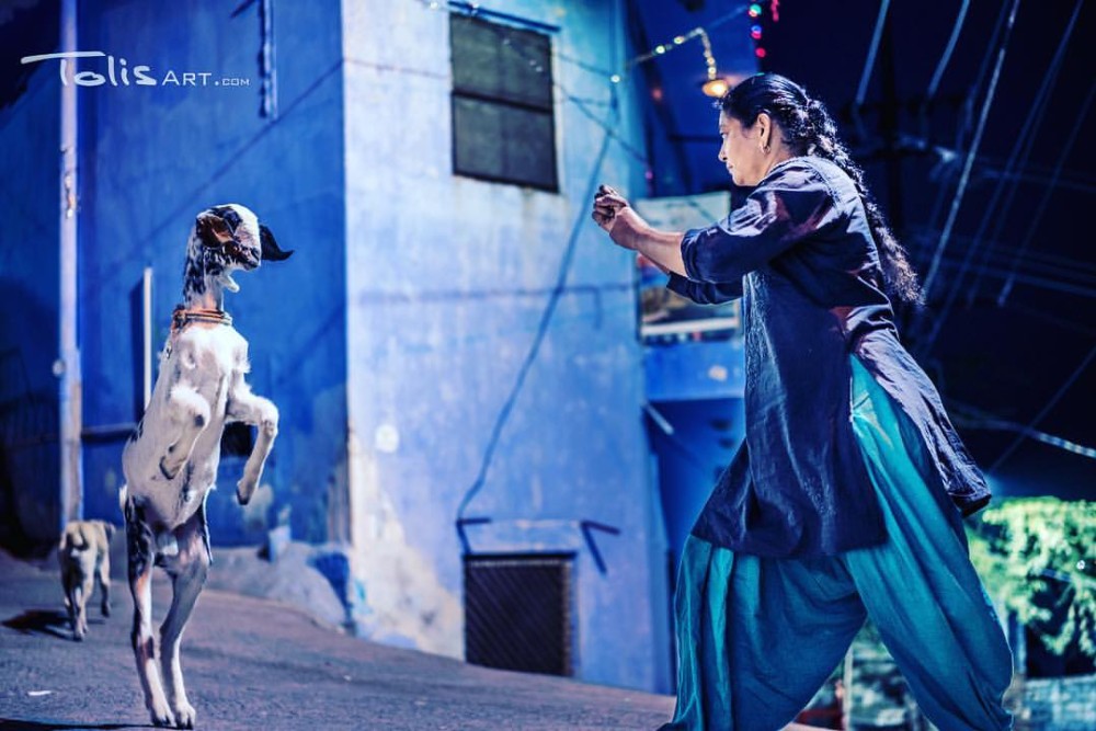 SPIRITUAL INDIA BY TOLISART: JODHPUR - The Blue City