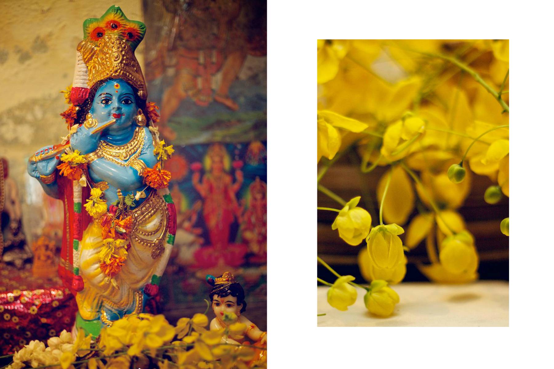 Arranged in the family puja room the night before by the mother in the family, the Vishukkani is a panorama of auspicious items, including images of Lord Vishnu, flowers, fruits and vegetables, clothes and gold coins.