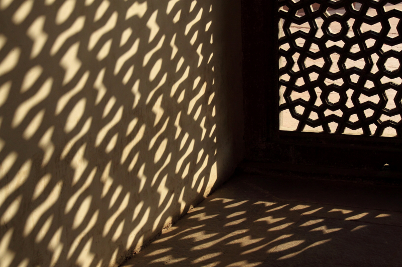 HUMAYUN TOMB - “Knowledge forbidden? Suspicious, reasonless. Why should their Lord envy them that? Can it be a sin to know? Can it be death?”  (John Milton, Paradise Lost)